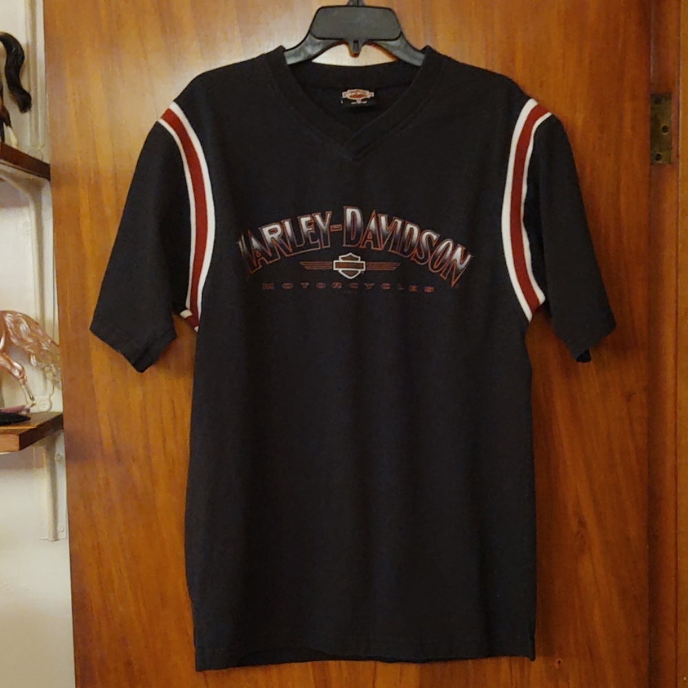 Harley Davidson v-neck, logos front & back. C pics